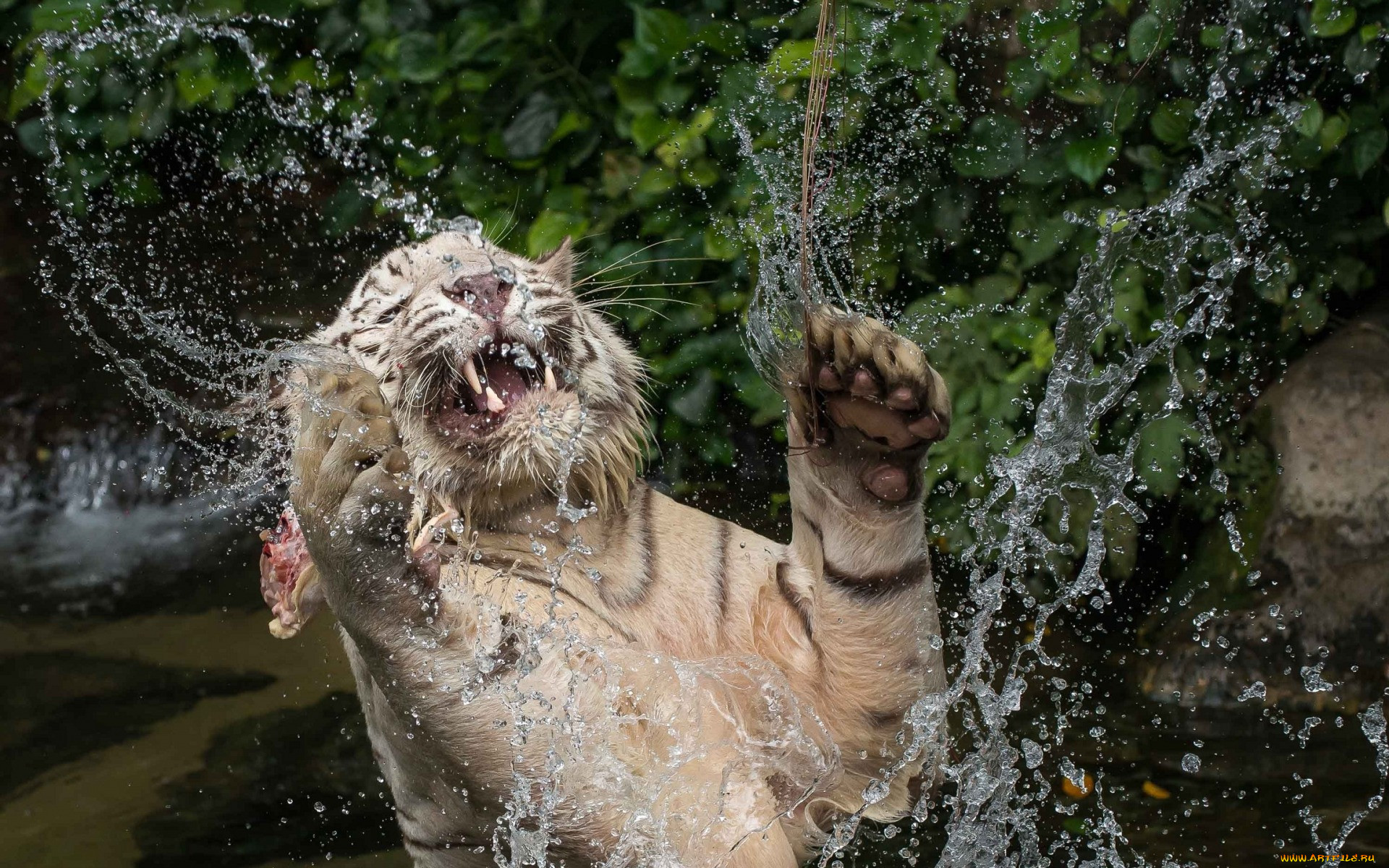 , , 